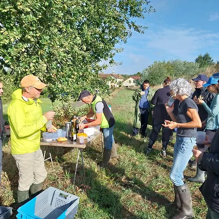 Pensionat De La Chapelle Nogaro