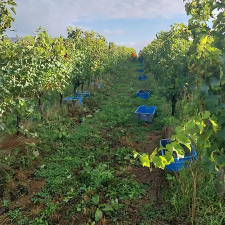 De La Chapelle 게스트하우스 노가로